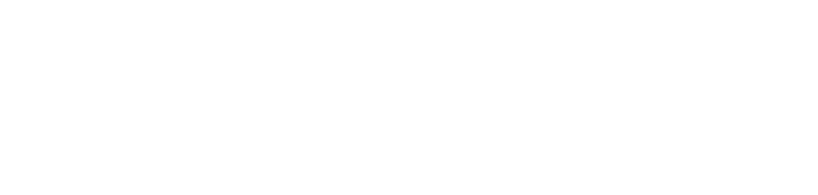 sadigitalFORCE.digital